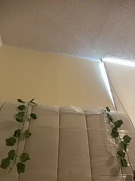 Megan Rodrigo online show from March 2026 02:11:03 PM