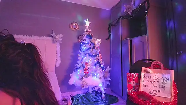 Snapshot of arteverena chatting on December 2024 12:48:02 AM arteverena online show from December 2024 12:48:02 AM