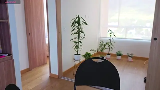 arteverena online show from June 2026 07:15:02 PM