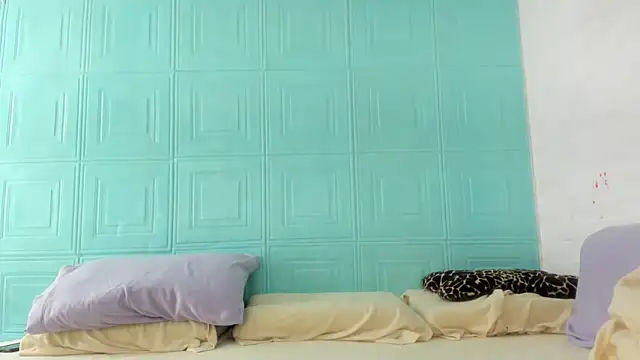 Snapshot of Meri-ai chatting on March 2025 06:12:02 PM Meri-ai online show from March 2025 06:12:02 PM