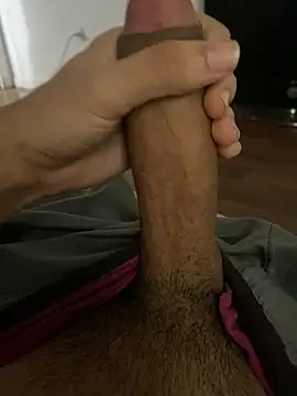 Snapshot of rafahpirusudo chatting on February 2026 02:16:02 PM rafahpirusudo online show from February 2026 02:16:02 PM