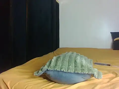 Snapshot of Switmelanin chatting on February 2026 04:41:01 PM Switmelanin online show from February 2026 04:41:01 PM