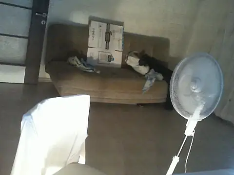 Snapshot of thekeys chatting on July 2026 09:04:01 PM thekeys online show from July 2026 09:04:01 PM