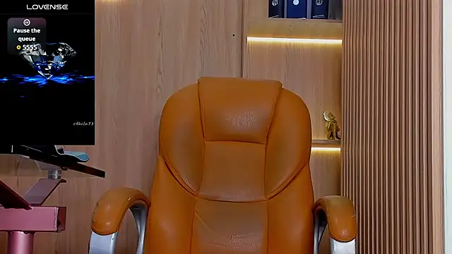 George Diesell online show from November 2025 08:53:02 PM