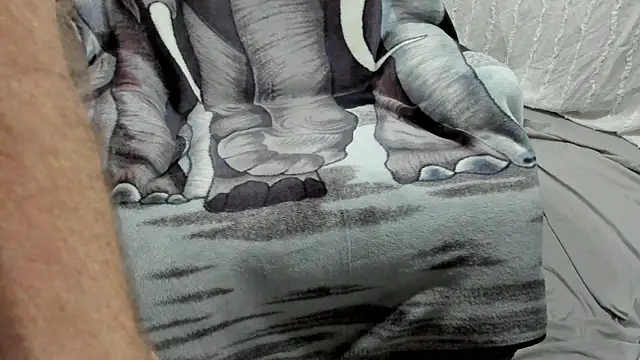 froy4986 online show from February 2026 07:30:02 AM