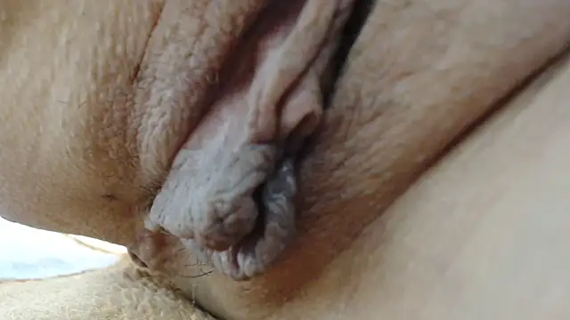 sonyx online show from March 2026 09:59:02 AM