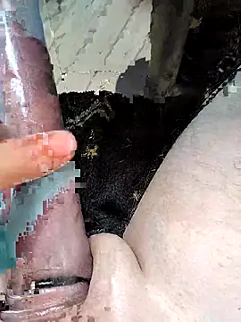 richa22cm online show from March 2026 01:34:02 PM