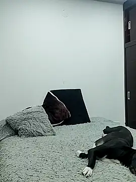 Mariam Gomezxxx online show from February 2026 12:32:02 AM