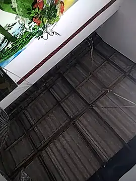 Snapshot of Nishii_Girl chatting on January 2026 12:12:02 PM Nishii Girl online show from January 2026 12:12:02 PM