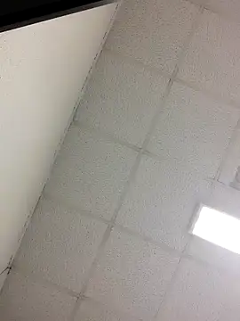 Fred bo online show from October 2025 04:17:01 PM