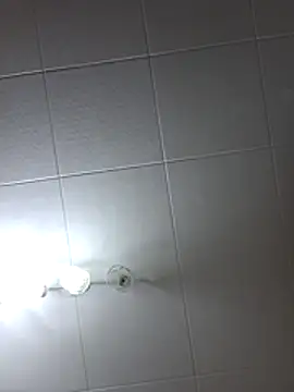 Javier bear online show from July 2026 08:20:01 PM