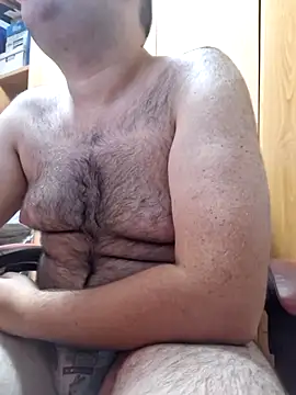 Javier bear online show from October 2025 08:32:02 PM