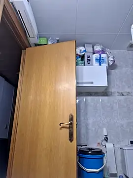 Javier bear online show from February 2026 02:06:02 PM