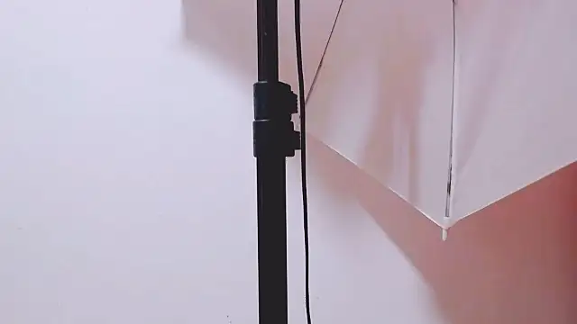 MaidenGame online show from February 2026 03:11:02 PM