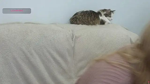 gertanord online show from February 2026 07:05:01 PM