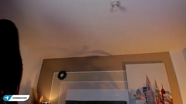 Snapshot of missmegann chatting on January 2025 12:56:01 PM missmegann online show from January 2025 12:56:01 PM