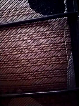 Luiz 097 online show from January 2026 07:26:01 AM