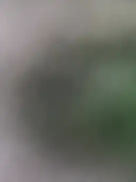 victoria cooper3 online show from February 2026 11:52:02 AM