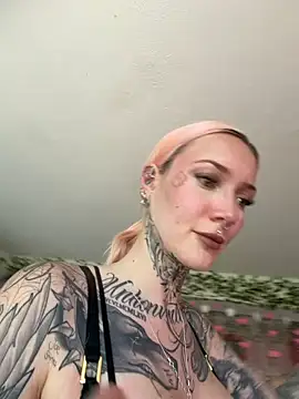 Stella-Kink online show from May 2026 12:14:01 PM