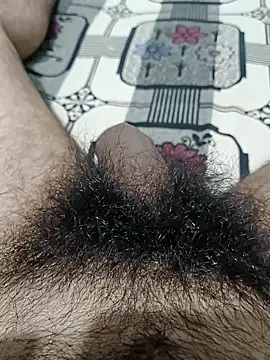 devilheaven online show from October 2025 01:34:01 PM