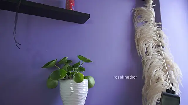 roselinedior online show from May 2026 04:26:01 PM