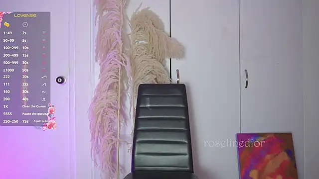 Snapshot of roselinedior chatting on November 2025 11:52:01 PM roselinedior online show from November 2025 11:52:01 PM