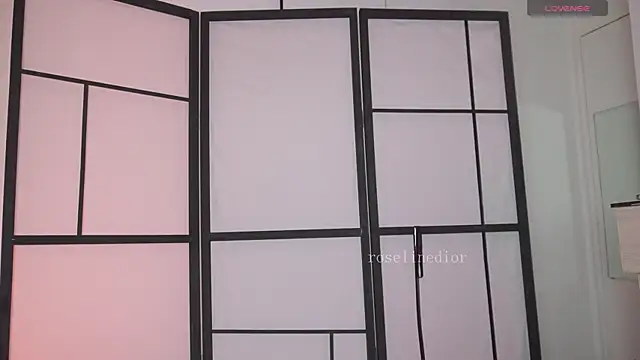 roselinedior online show from March 2026 01:06:02 PM