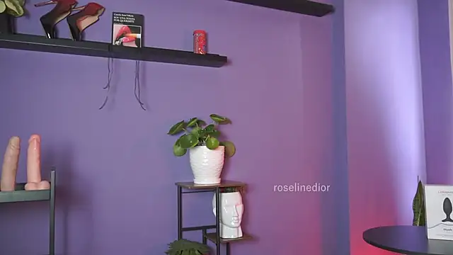 roselinedior online show from May 2026 02:46:02 PM