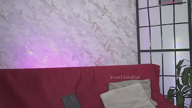 roselinedior online show from March 2026 03:23:01 PM