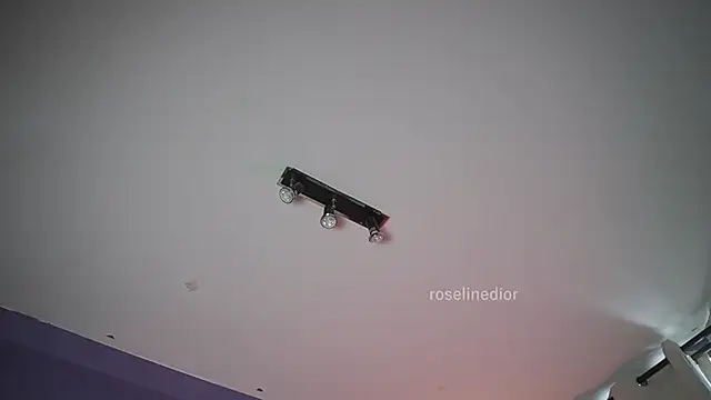 Snapshot of roselinedior chatting on June 2026 07:08:01 PM roselinedior online show from June 2026 07:08:01 PM