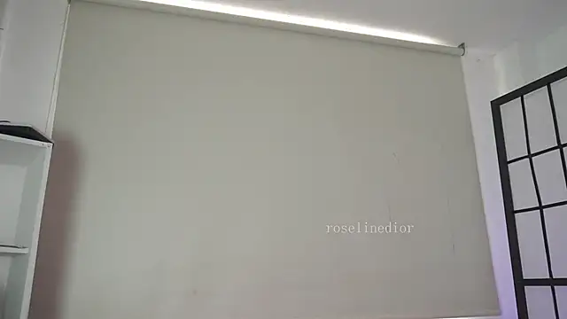 roselinedior online show from April 2026 02:35:01 PM
