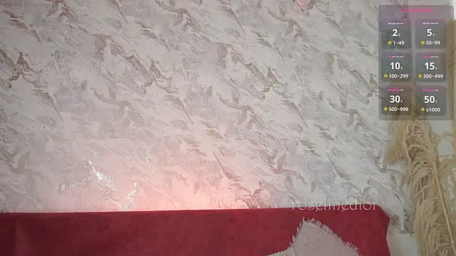 Snapshot of roselinedior chatting on November 2025 02:18:01 PM roselinedior online show from November 2025 02:18:01 PM