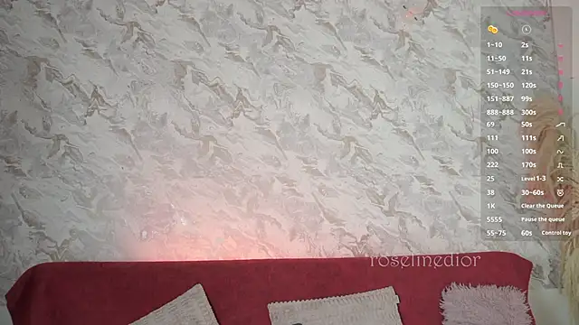 Snapshot of roselinedior chatting on November 2025 01:55:01 PM roselinedior online show from November 2025 01:55:01 PM