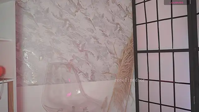 roselinedior online show from April 2026 02:24:01 PM