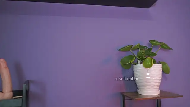 roselinedior online show from May 2026 01:31:02 PM