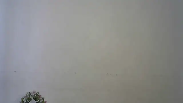 seema raani online show from April 2026 04:46:02 AM