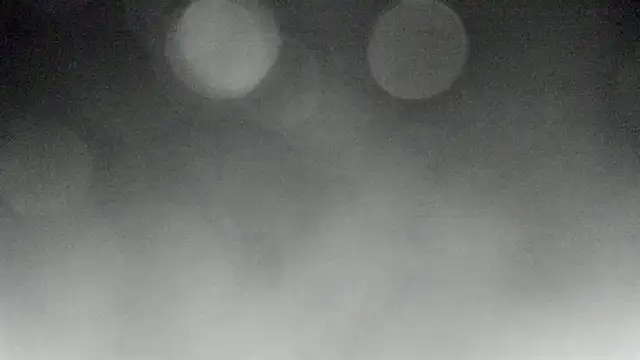 Bitch Coin online show from November 2025 04:23:02 PM