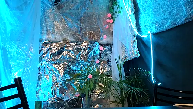 Jony Marta online show from October 2025 02:47:01 AM