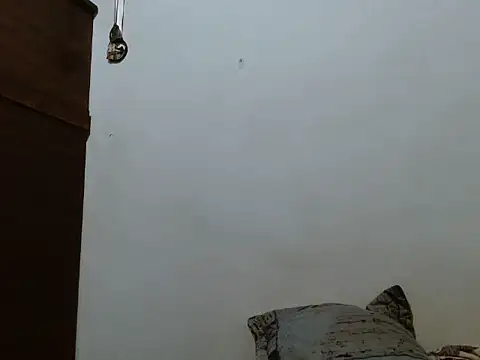 mademonsexy online show from November 2025 02:27:01 AM