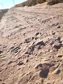 Snapshot of prettyboi6992 chatting on March 2026 11:49:02 PM prettyboi6992 online show from March 2026 11:49:02 PM