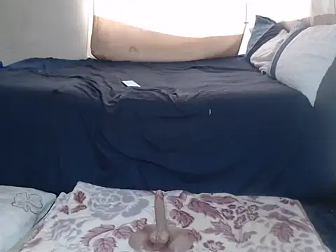 AdelaideT online show from February 2026 11:10:02 AM