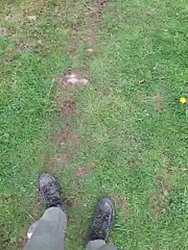 FreezingTie850 online show from April 2026 10:38:02 AM