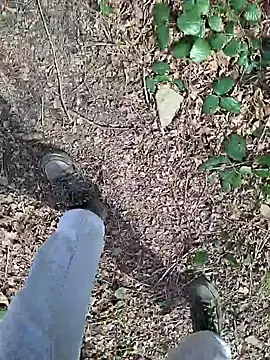 FreezingTie850 online show from March 2026 11:32:02 AM