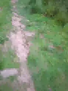 FreezingTie850 online show from May 2026 08:16:01 PM