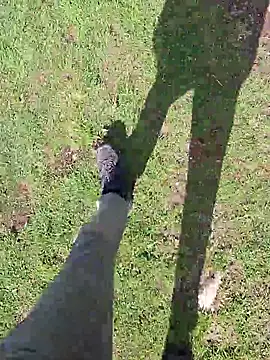 FreezingTie850 online show from May 2026 09:07:02 AM