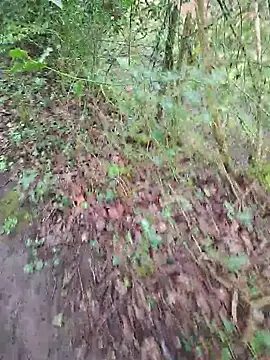 FreezingTie850 online show from April 2026 10:09:02 AM