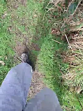 FreezingTie850 online show from March 2026 10:24:01 AM