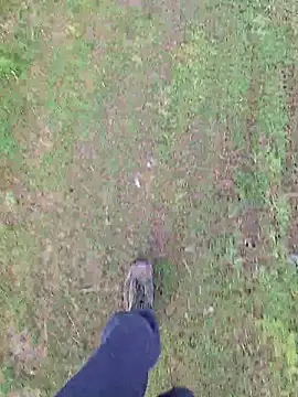 FreezingTie850 online show from April 2026 07:53:01 AM