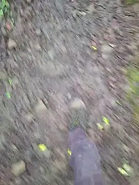 FreezingTie850 online show from March 2026 01:14:02 PM