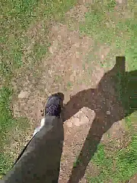 FreezingTie850 online show from May 2026 10:59:02 AM